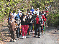 ノルディック・ウォーキングとは